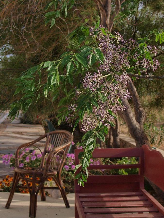 Flower And Crafts - The Eco Nature House Монолитос Экстерьер фото