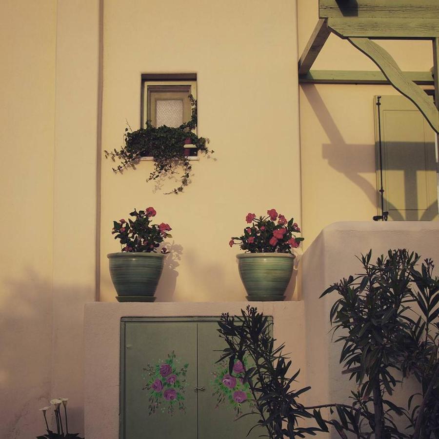 Flower And Crafts - The Eco Nature House Монолитос Экстерьер фото