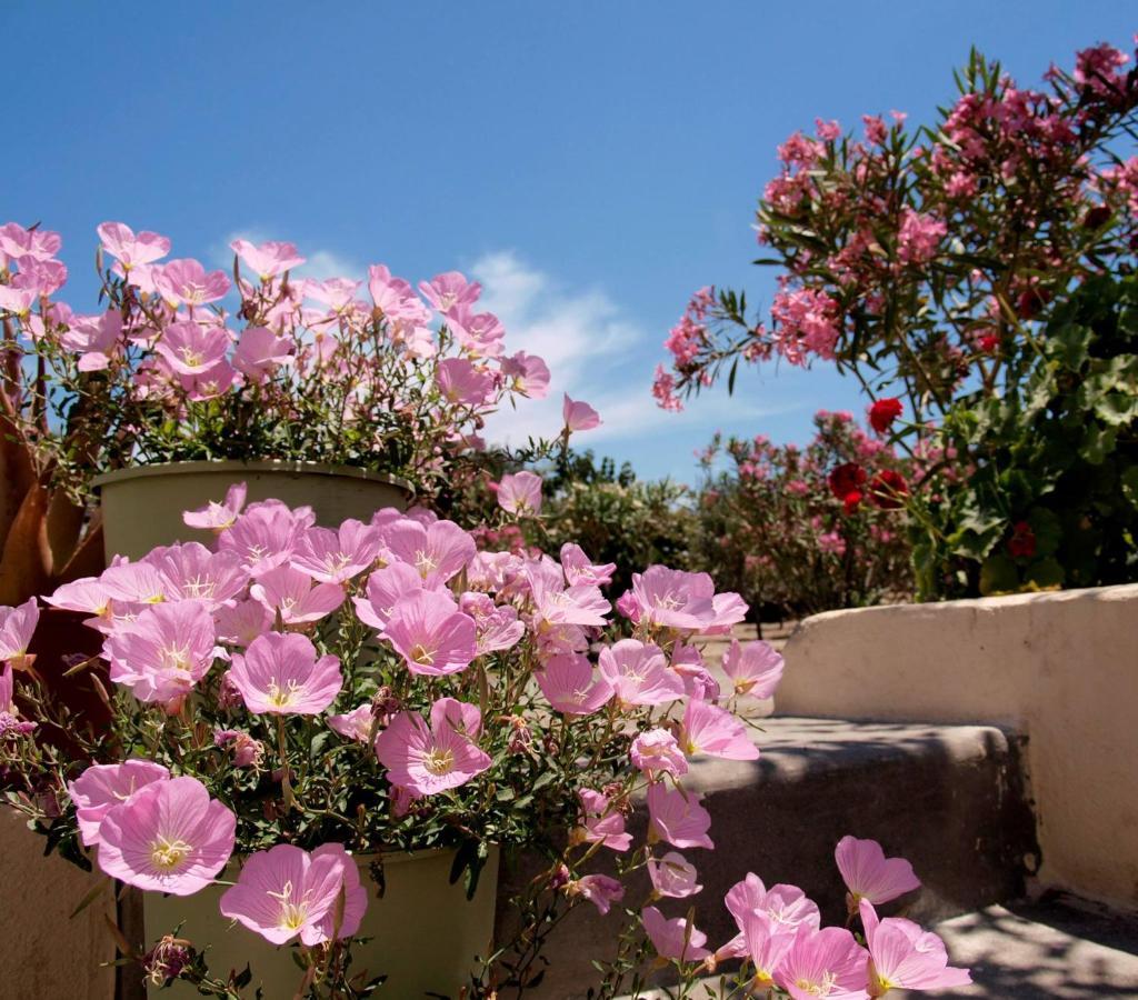 Flower And Crafts - The Eco Nature House Монолитос Экстерьер фото